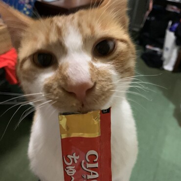 の写真
