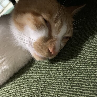 の写真