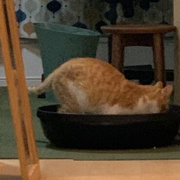 の写真