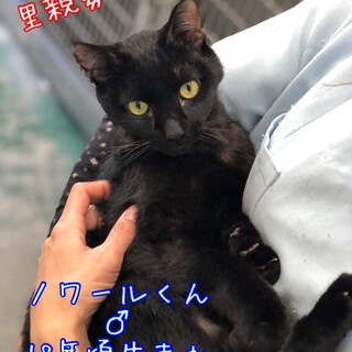 バイクに轢き逃げされた超甘えた抱っこ大好き男の子