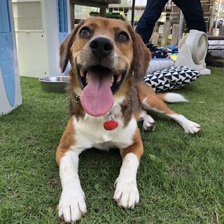 甘えん坊｢KID｣に家族を☆