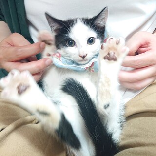 センター分けのイケメン白雲(はくうん)とお幸せに♡