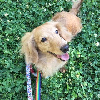 いつもニコニコ笑顔！天真爛漫なベクタ君♪