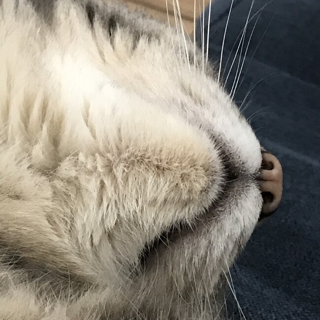 イツワのカバー写真