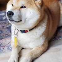 小源太(こげんた)