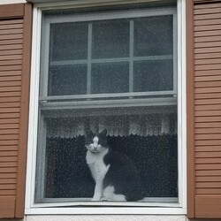 かわいい子は、いつも、カメラ目線？