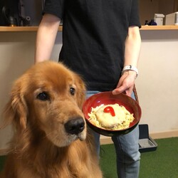 はじめまして！