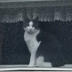 「かわいい子は、いつも、カメラ目線？」サムネイル2