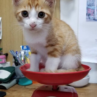 誰か僕を家族の一員にして下さい～＊