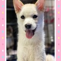 生後4カ月位　希望の方とお話中