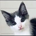 ❤️くりくりお目目の愛らしいジュンくん❣️