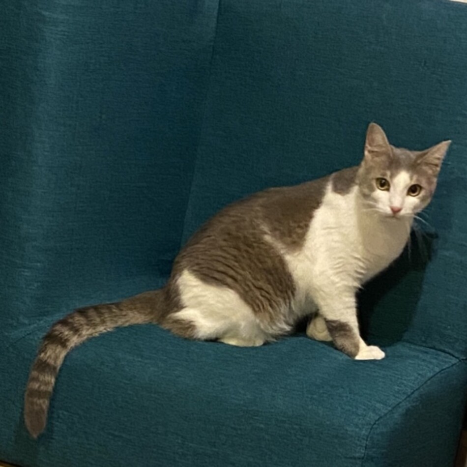 はるとのカバー写真