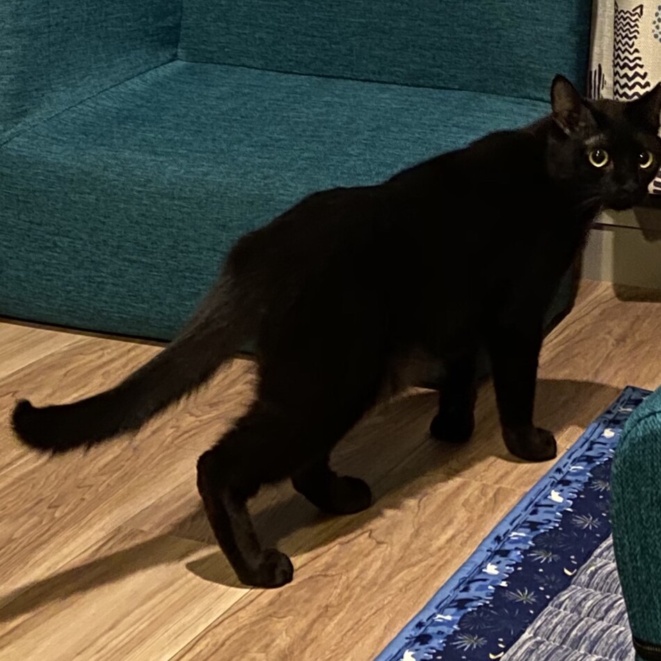 こうたのカバー写真