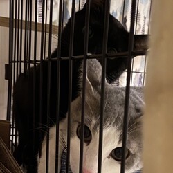 トライアル4日目