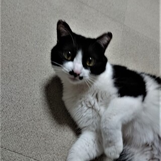 女の子だけどチョビひげ