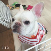 エマ