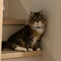 一時的に募集を停止しております。