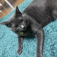 ゆーくん