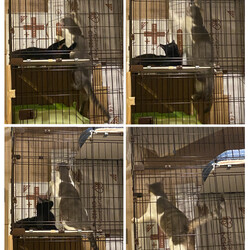 トライアル6日目