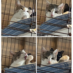 「トライアル6日目」サムネイル2