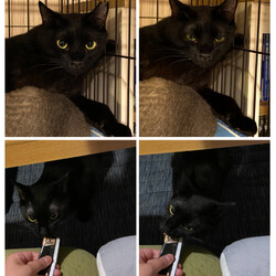 「トライアル6日目」サムネイル3