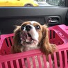 の写真