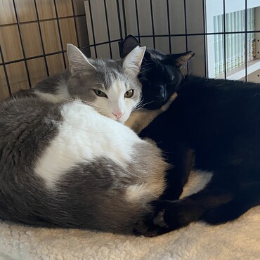 その真ん中に私も入れて欲しい