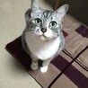 ジュエル