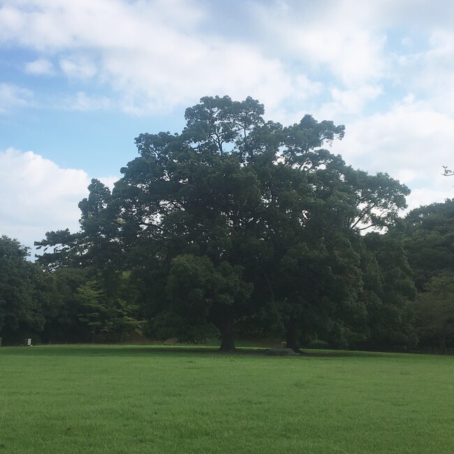 まっくろちろすけのカバー写真