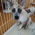 家族ができました！！