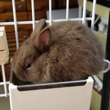 ご飯独り占め