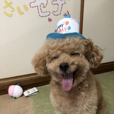 の写真