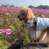 の写真