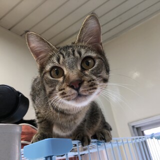 ご縁ないまま大人になりました。