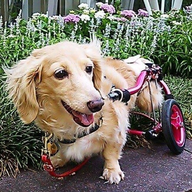 ちえり♪のカバー写真