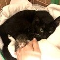 壮絶なお産を経験した、てん親子 