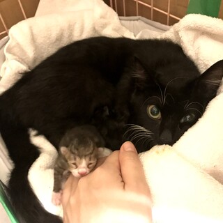 壮絶なお産を経験した、てん親子 