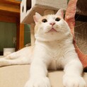 穏やかでとても優しいこ♡