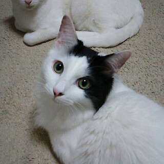 人と一緒にいるのが大好きなイケメン！空汰くん