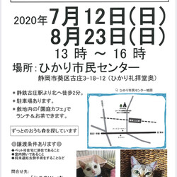 ねこのWa猫譲渡会