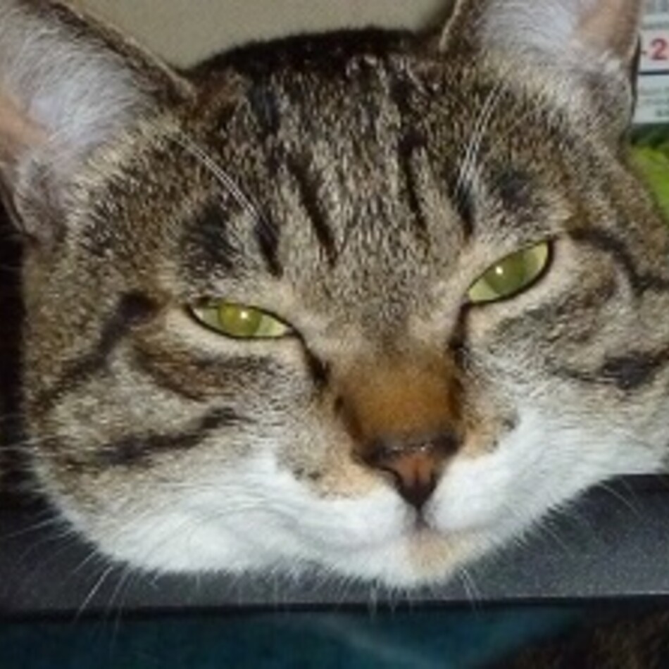 リクのカバー写真