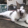 英光さん