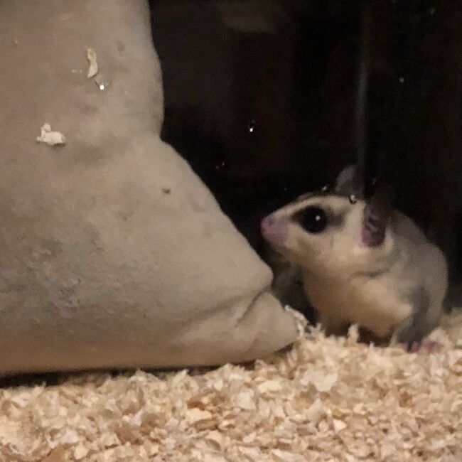 ともきよのカバー写真