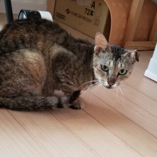 生き延びた！奇跡のあみちゃん！