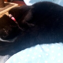 「4年目の夏」サムネイル2