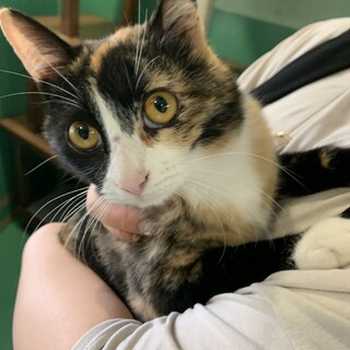 センター収容中　ちゃこチャン