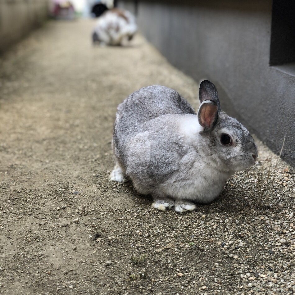 なるのカバー写真