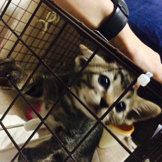 gohan0301のカバー写真