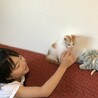 SHIHOママ
