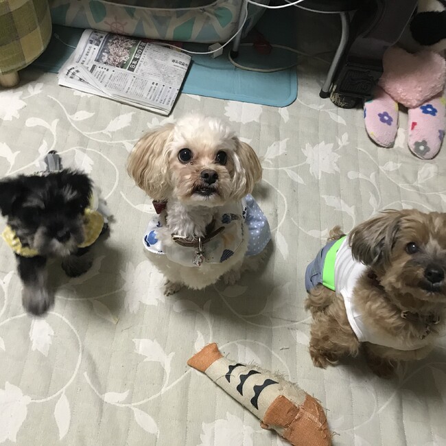 kanacyunのカバー写真